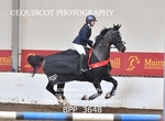 BPP_3648