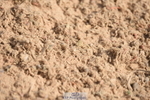 230906A-114720-00171