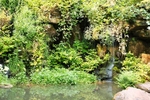 Fairy Glen