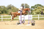 SBM_004642