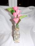Balloon Flowers portfolio