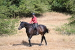 WJ7_8601