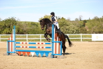 SBM_003183