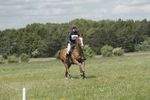BVHT 140517  NXC -72
