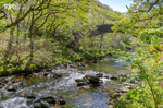 Bridge over the East Lyn river near Watersmeet
