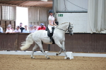 SBM_008445