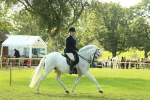 SBM_62452