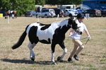 WJ6_8585