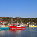 Lobster Boats at Alma Wharf