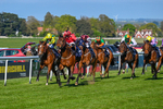 230426-Race 7-Sunny Orange-5512