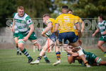 Guernsey Raiders v Old Albanian_2022-79