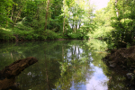 Bristol landscape_River Frome Snuff Mills _B0220_Ian Wade