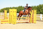 SBM_005890
