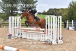 BPP_1168