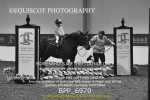 BPP_6970