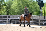 WJ6_0902