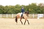SBM_001735