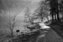 Misty Mallards Pike in Monochrome