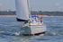 180603 CORNISH GOLD GBR2264L 1Y3A4053_Edit