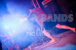 Pigsx7-20