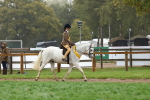 Ridden Pony Supreme Championship portfolio