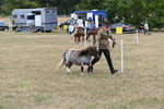 WJ6_5401