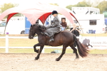 SBM_16407