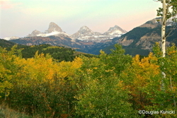 In the West portfolio