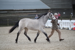 SBM_003973