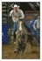 Calf Roping 2