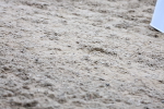 SBM_002374