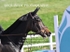 BPP_1837
