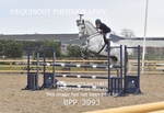 26TH - 27TH APRIL 2025 - Senior 2 Day Cat 1 Show - MUIRMILL EC portfolio