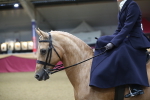 SBM_09336