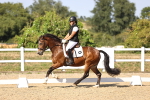 SBM_006798