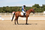 SBM_002884