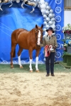 Class 3A - IH Pre-Vet portfolio