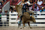 KyHamilton_0221