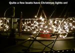 Christmas Lights PICT0016