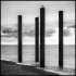 SEA COLUMNS