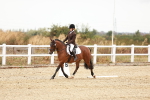 SBM_000629