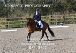 BPP_8703