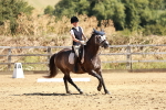 SBM_001433
