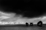 BW24