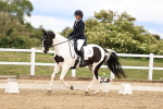 SBM_002764