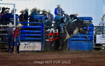 3HRodeo7-12-24_LJD_3HR4957_LJD