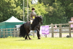 SBM_07229