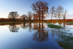 Winter reflections, Croxdale near Durham