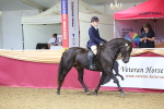 SBM_24494