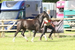 SBM_00793